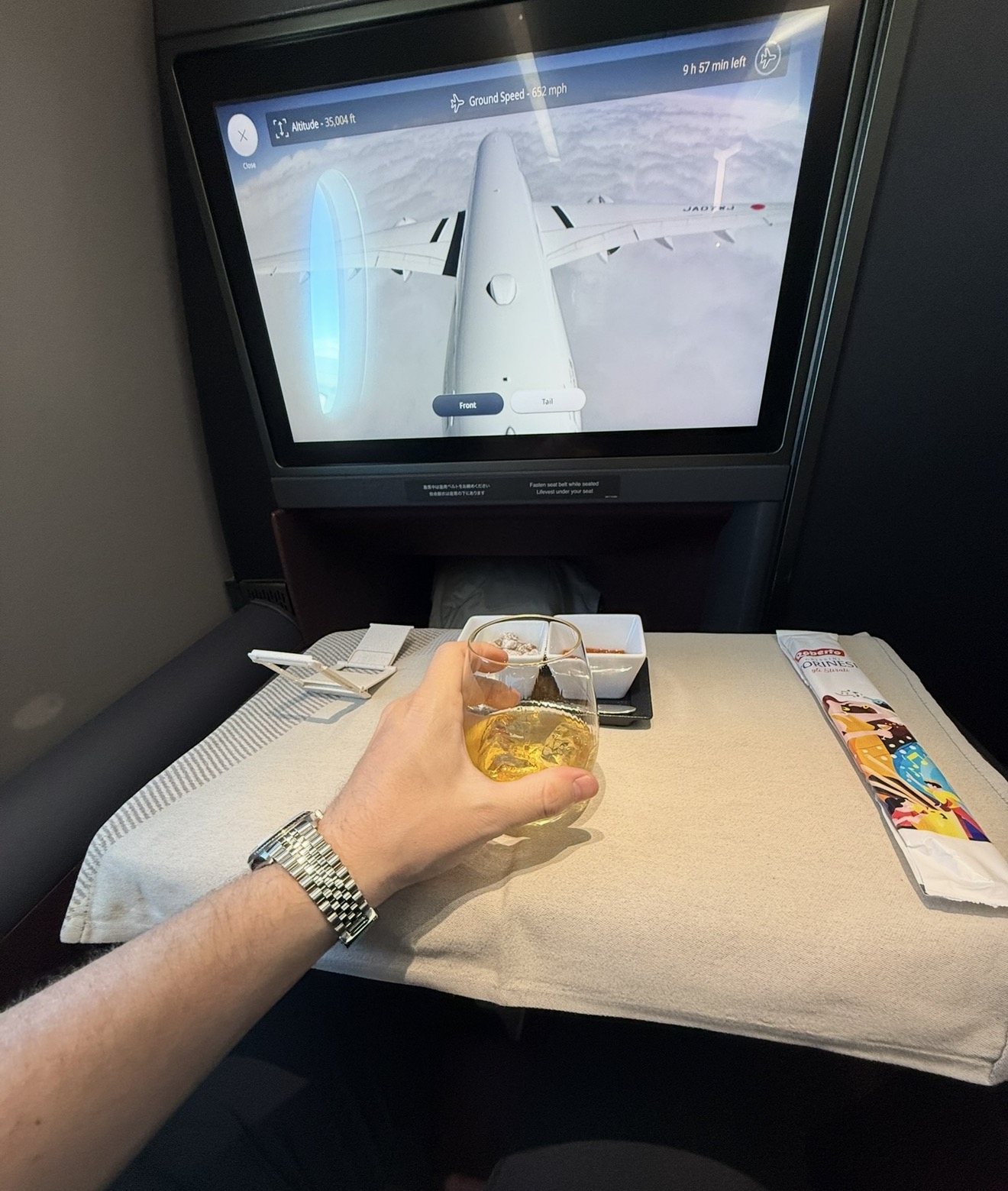 JAL A350-1000 tail camera at 35,004 feet during the cruise to Dallas