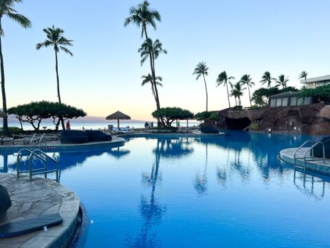 Resort swimming pool framed by palm trees on the Kohala Coast of Hawaii's Big Island